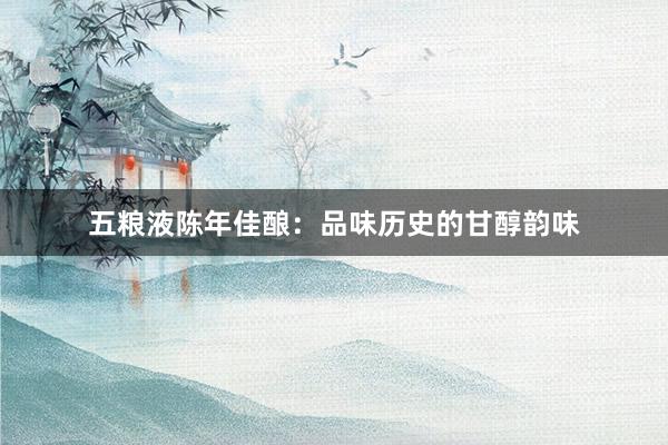 五粮液陈年佳酿：品味历史的甘醇韵味